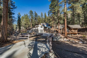 895 County Road 206
